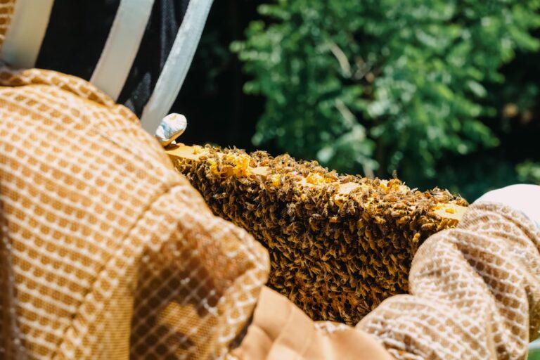 The Essential Guide to Choosing the Right Flight Equipment